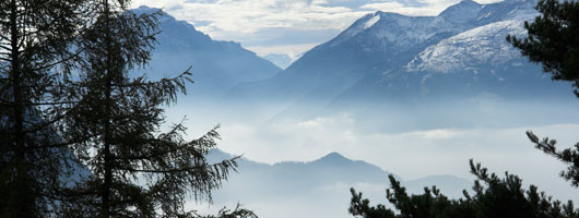 呼死你轰炸短信平台