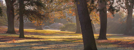 轰炸手机号码软件